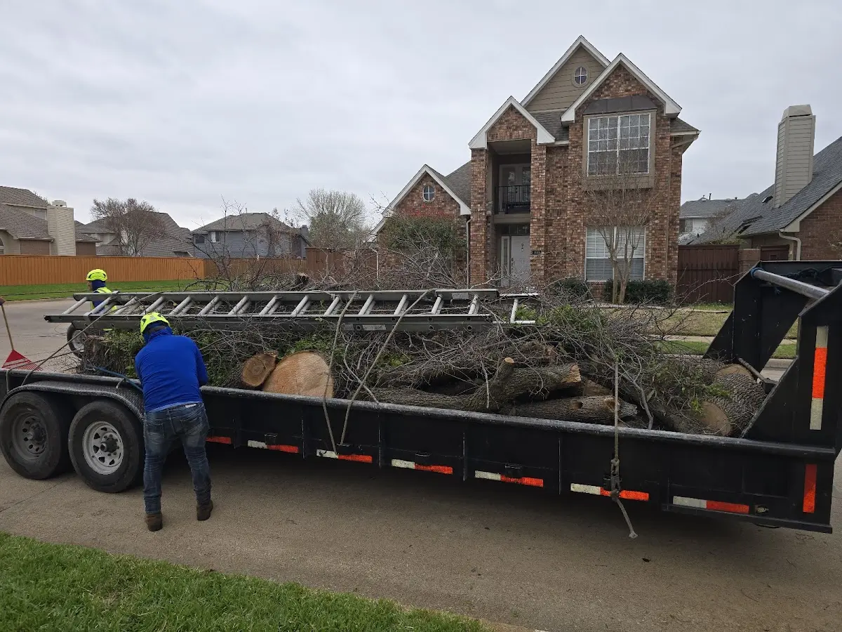 Expert Tree Removal with proper safety equipment in Crofton